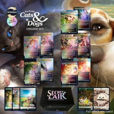 Secret Lair: Drop Series - Raining Cats and Dogs